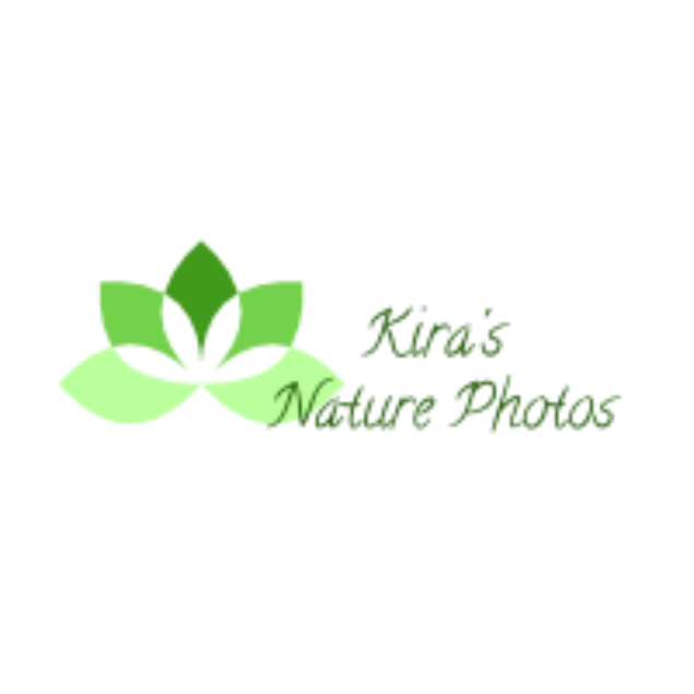 Kira's Nature Photos